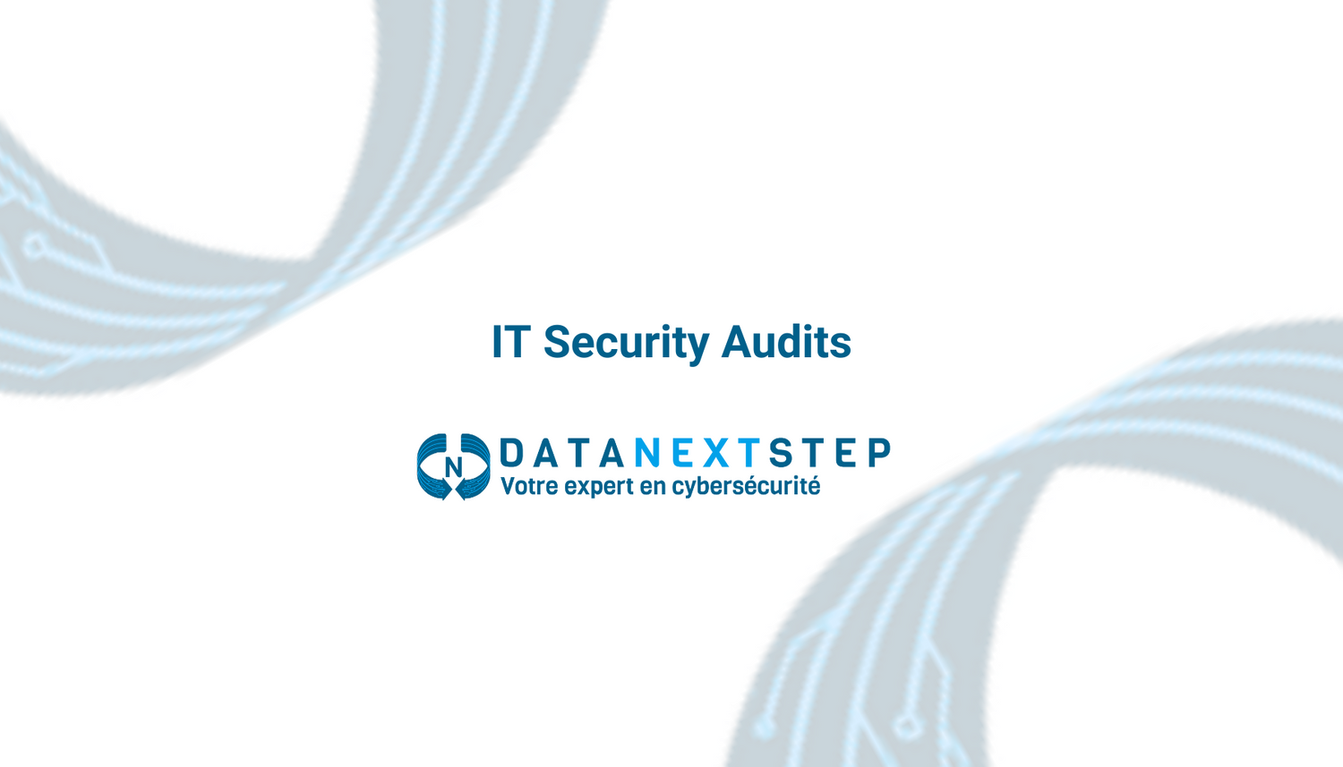 IT Security Audit